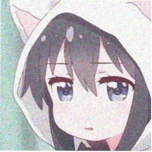 观众木野的头像